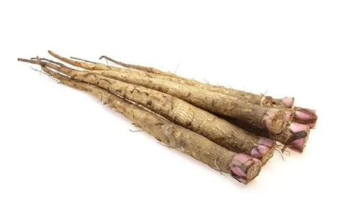 Burdock Root