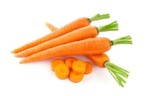 Carrot