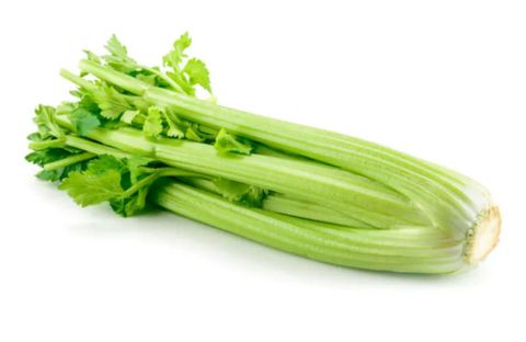 Celery