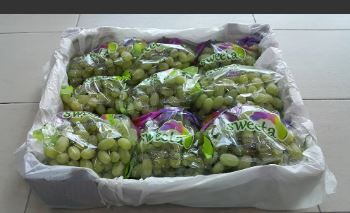 Chile Sweeta Green Seedless Grapes