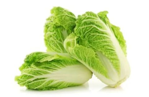 Chinese Cabbage