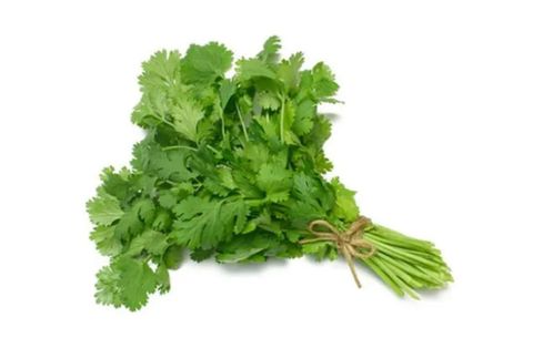 Chinese Parsley