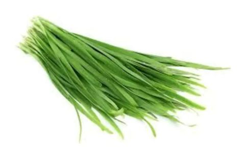 Chives