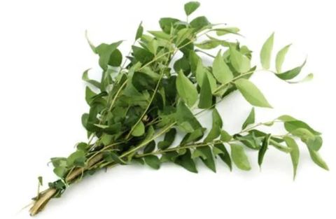 Curry Leaf