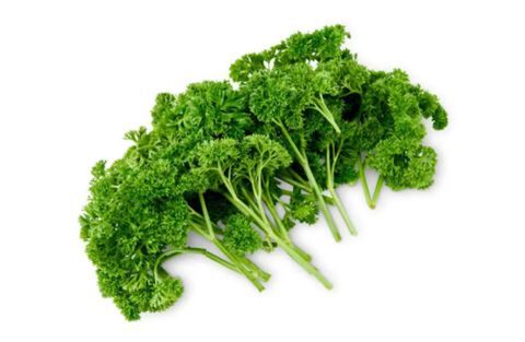 English Parsley