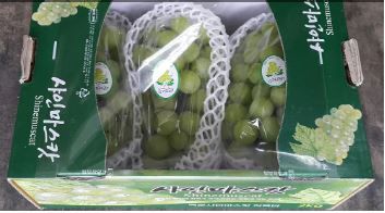 Korea Shine Muscat King Green Seedless Grapes
