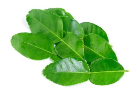 Lime Leaf