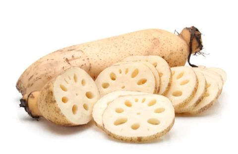 Lotus Root