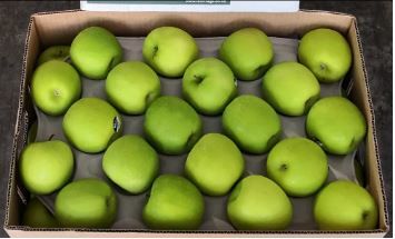 NZ Granny Smith Apples