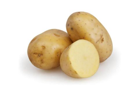 Potato