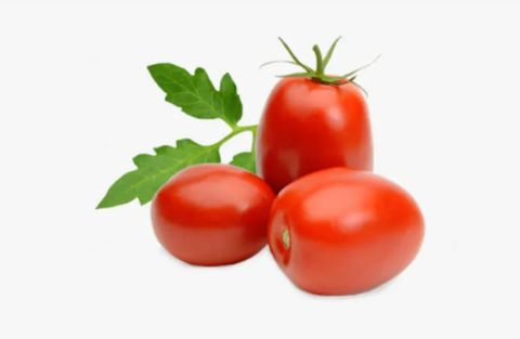 Roma Tomato