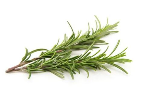 Rosemary