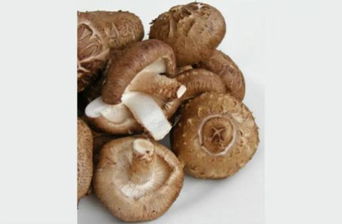 Shitake Mushroom