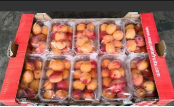 Spain Apricots