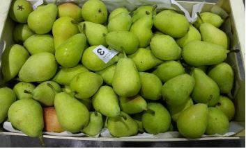 Spain Candy Pears