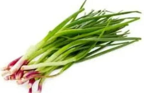 Spring Onion