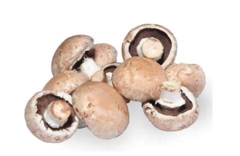 Swiss Brown Mushroom