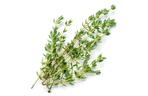 Thyme