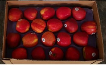 US Braeburn Red Apples