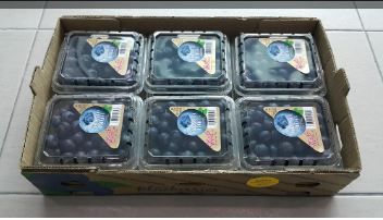 US California Grande Blueberries