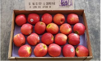 US Crisp Pink Red Apples