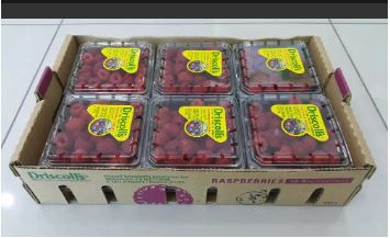 US Driscoll Raspberries