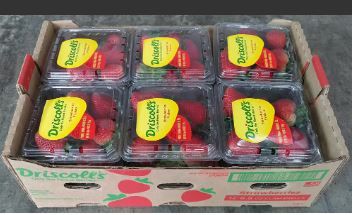 US Driscoll Strawberries