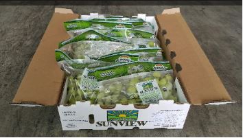 US Organic Stella Bella Green Seedless Grapes