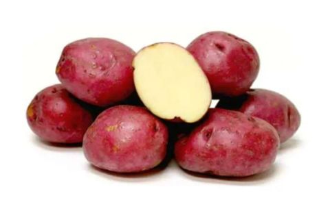 US Red Potato