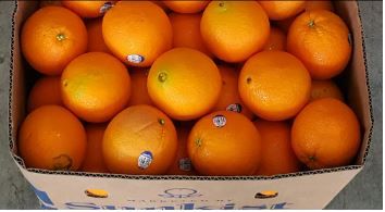 US Sunkist Royal Flush Navel Oranges