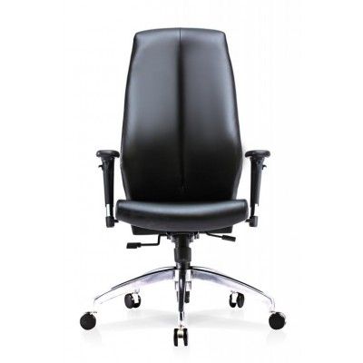 Director Chair Fill 2 H/B