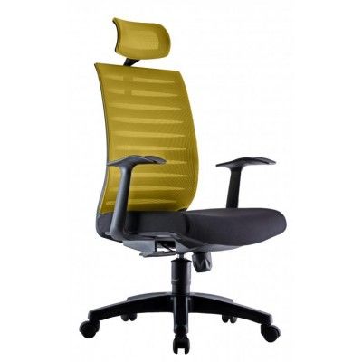 Mesh Chair Professional 1 H/B