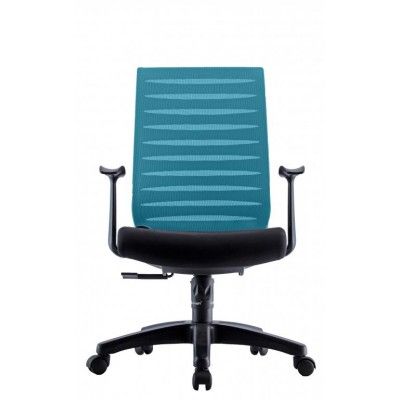 Mesh Chair Professional 1 M/B