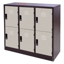 Steel Locker 6 Compartment (Half Height)