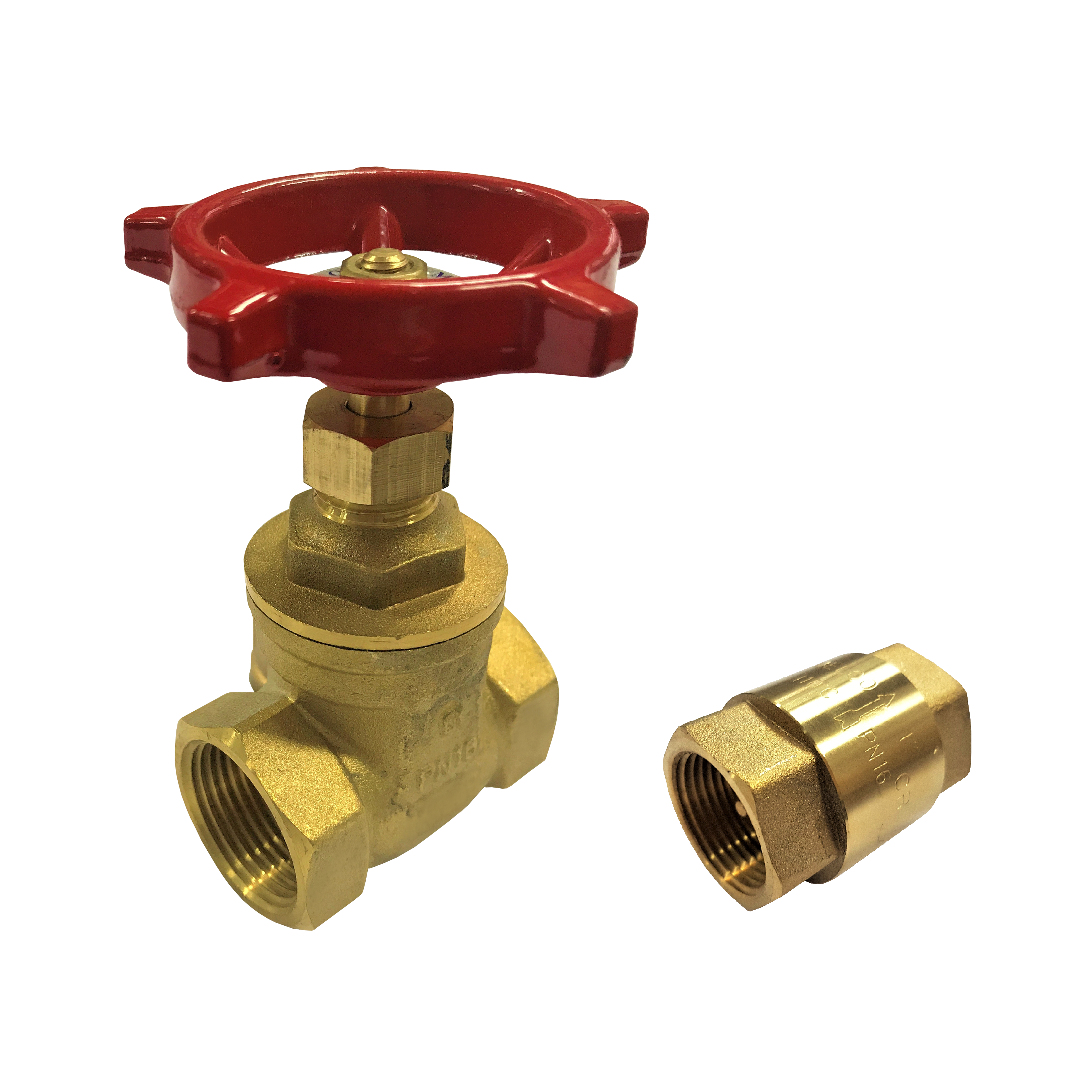 gate-valves-check-valves