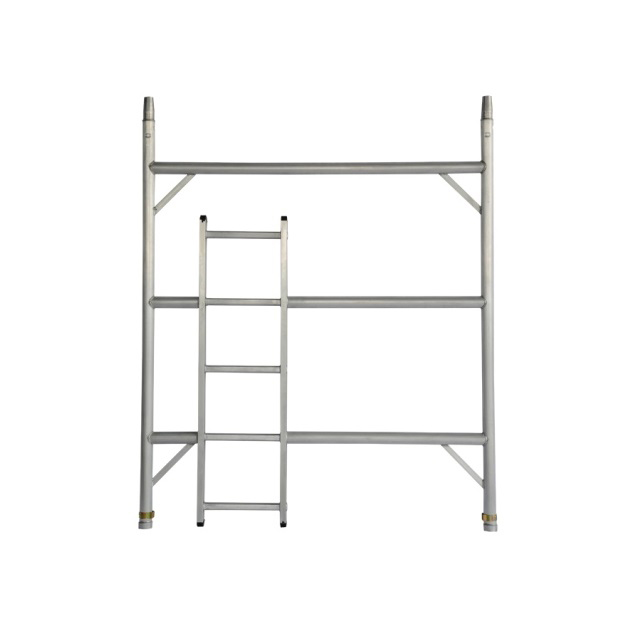 DW LADDER SIDE 3 RUNG 1.71M