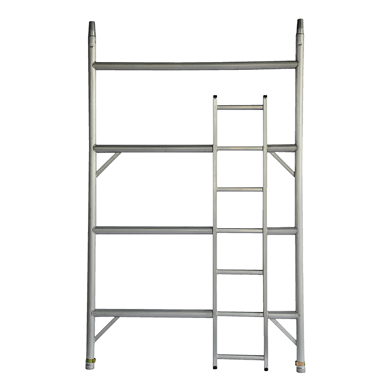 DW LADDER SIDE 4 RUNG 2.28M