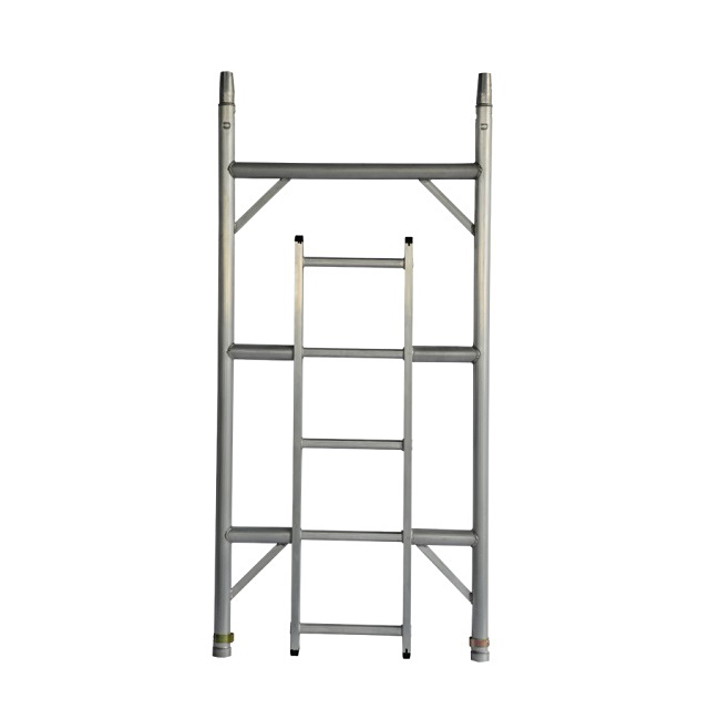 SW LADDER 3 RUNG 1.71M