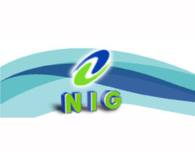 National Industrial Gases Pte Ltd