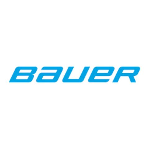 BAUER COMPRESSOR OIL N22138 (1L)