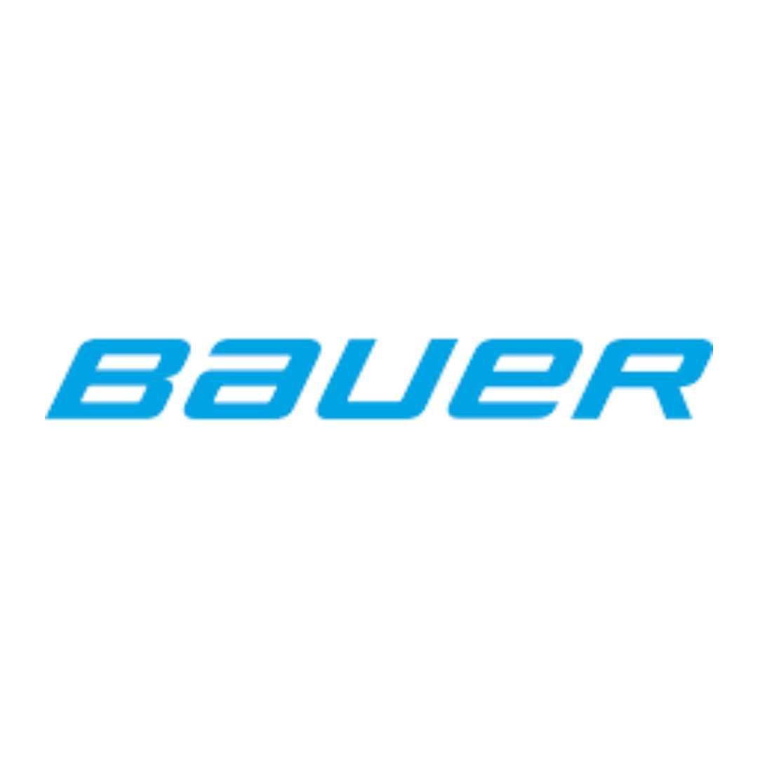 BAUER COMPRESSOR OIL N22138 (1L)