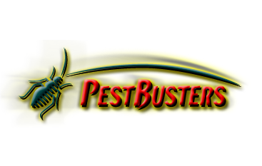 Pestbusters Pte Ltd