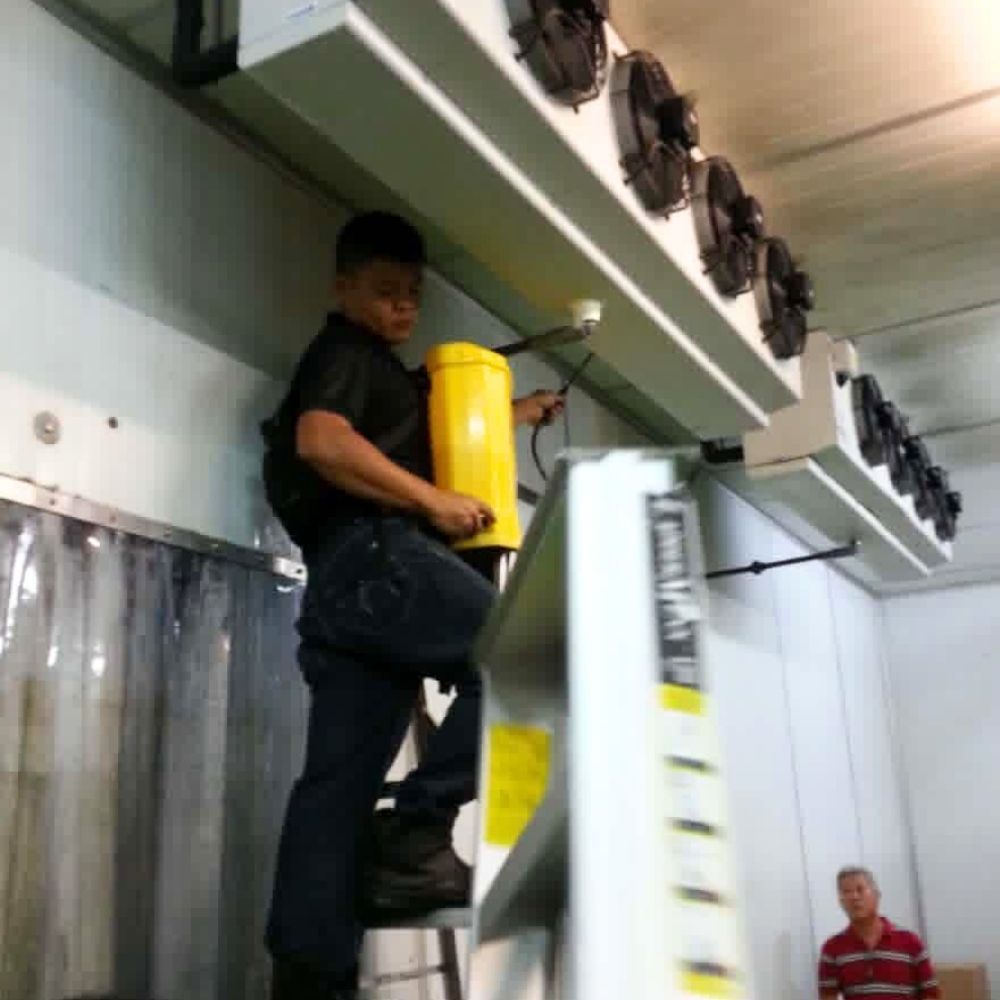 Coldroom Cooler Unit Chemical Wash 