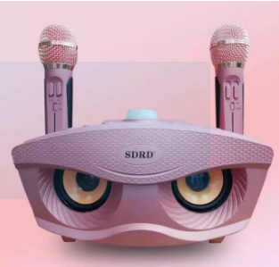 SD306 Dual Bluetooth Speaker