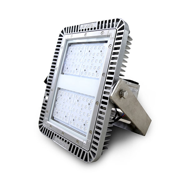 LED Flood Light LF301A