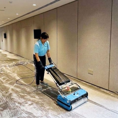 Premium Deep Carpet Cleaning Service