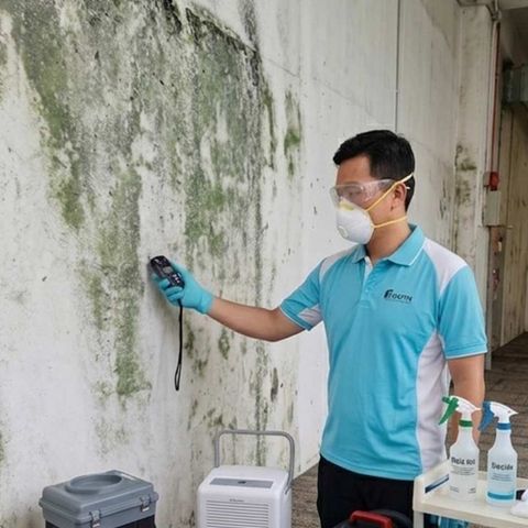 Zenith Facility Services Mould Inspection and Cleaning Services
