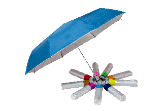 Folding Umbrella #7890