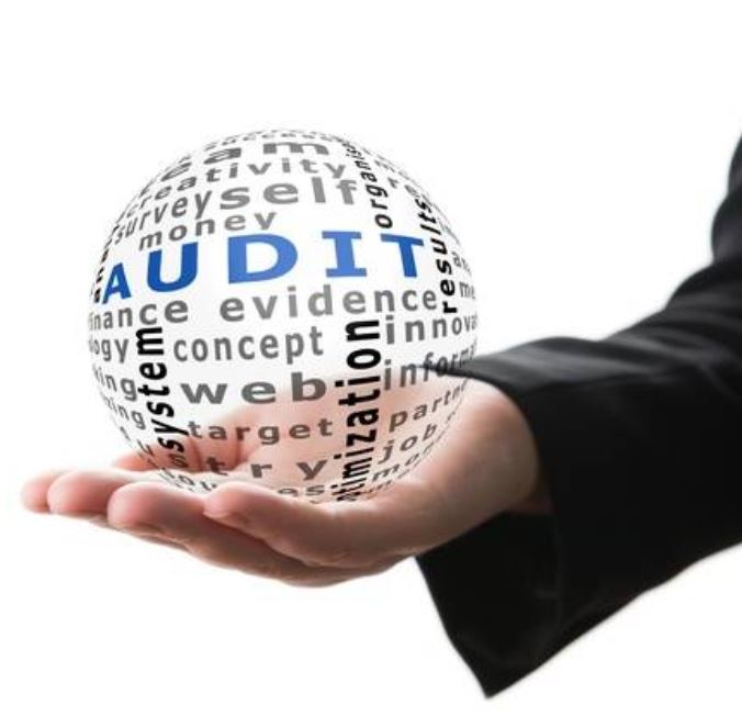 Statutory Audit (EXTERNAL AUDITOR)