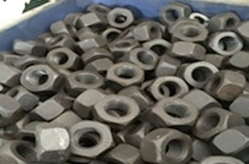 Hex Nut